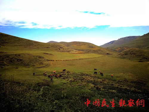 图片3_副本.png