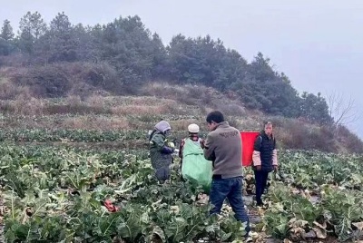 4_副本.jpg