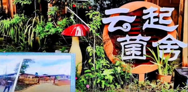 Q5_副本.png